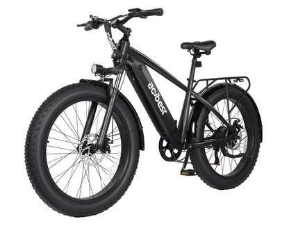 Ranger All-Terrain Mountain Ebike