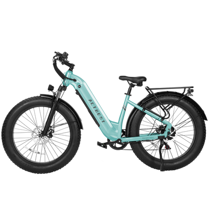Ranger ST 2.0 All-Terrain Mountain Ebike