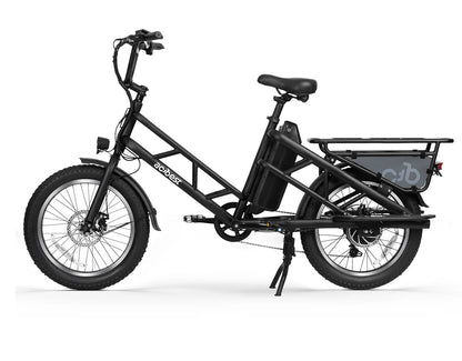 Electric Cargo Long-Range eBike