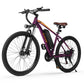 Apex Electric Mountain Bike