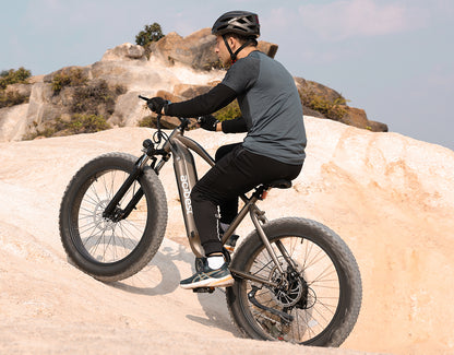 Ranger All-Terrain Mountain Ebike