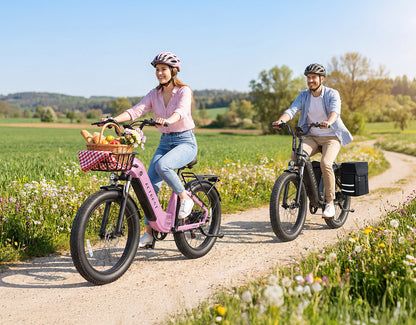 Cozy Wide Tires City Commuter Electric Bike