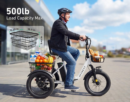 Triker Folding 3 Wheels Electric Bike