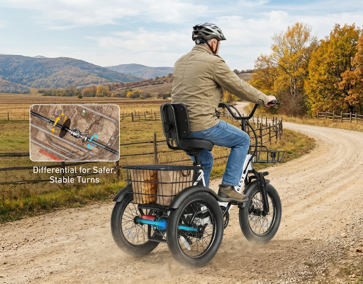 Triker Folding 3 Wheels Electric Bike