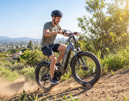 Cozy Wide Tires City Commuter Electric Bike