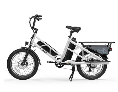 Electric Cargo Long-Range eBike