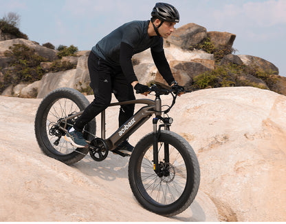 Ranger All-Terrain Mountain Ebike