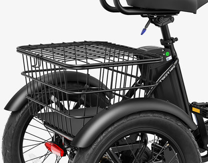 Triker Folding 3 Wheels Electric Bike