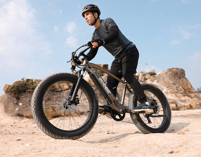 Ranger All-Terrain Mountain Ebike