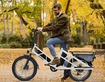 Electric Cargo Long-Range eBike