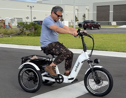 Triker Folding 3 Wheels Electric Bike