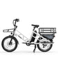 Electric Cargo Long-Range eBike