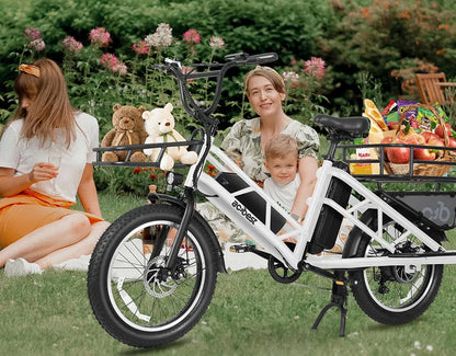 Electric Cargo Long-Range eBike