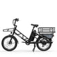 Electric Cargo Bike