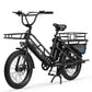 Electric Cargo Bike