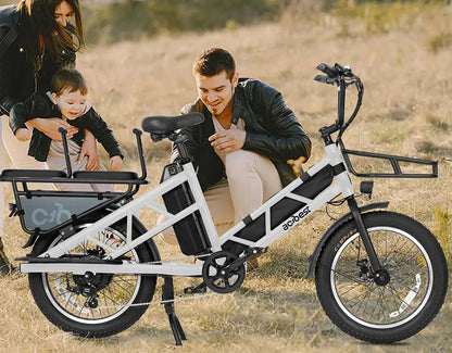 Electric Cargo Long-Range eBike
