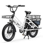 Electric Cargo Bike