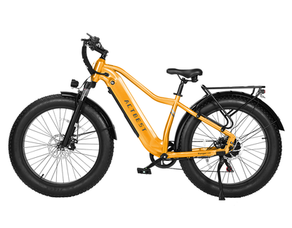 Ranger 2.0 Step-Over Mountain Bike