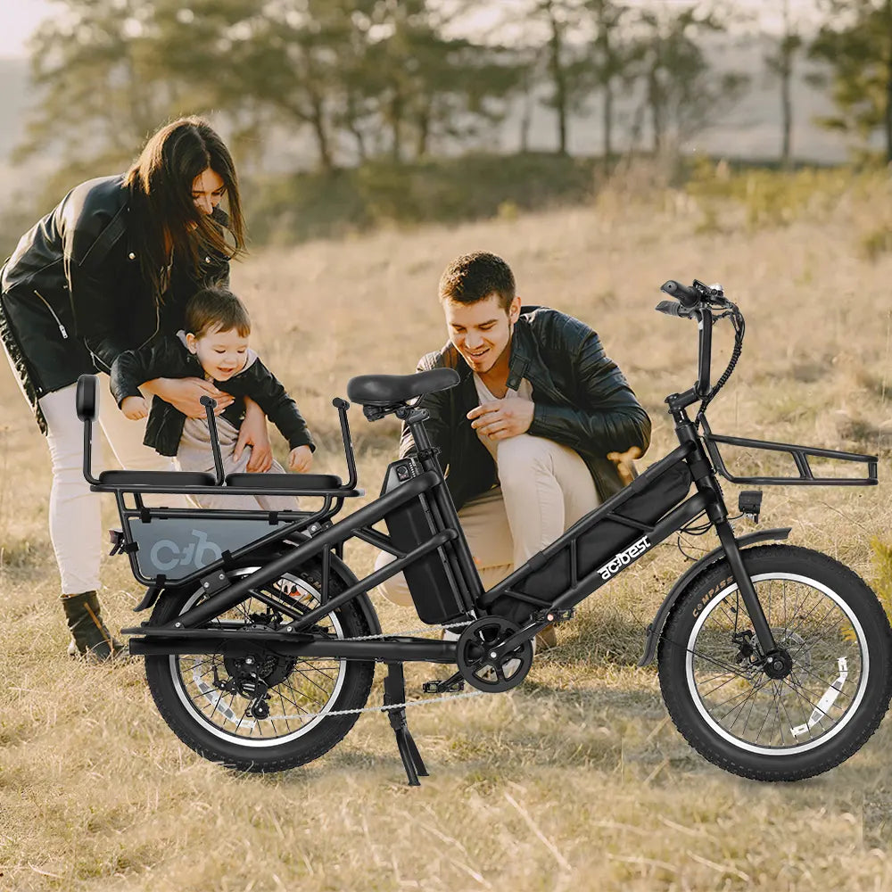 Electric Cargo Bike