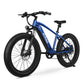 Ranger All-Terrain Mountain Ebike