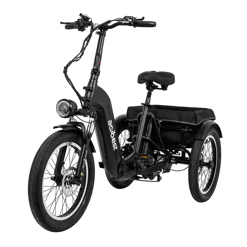 Triker Folding 3 Wheels Electric Bike