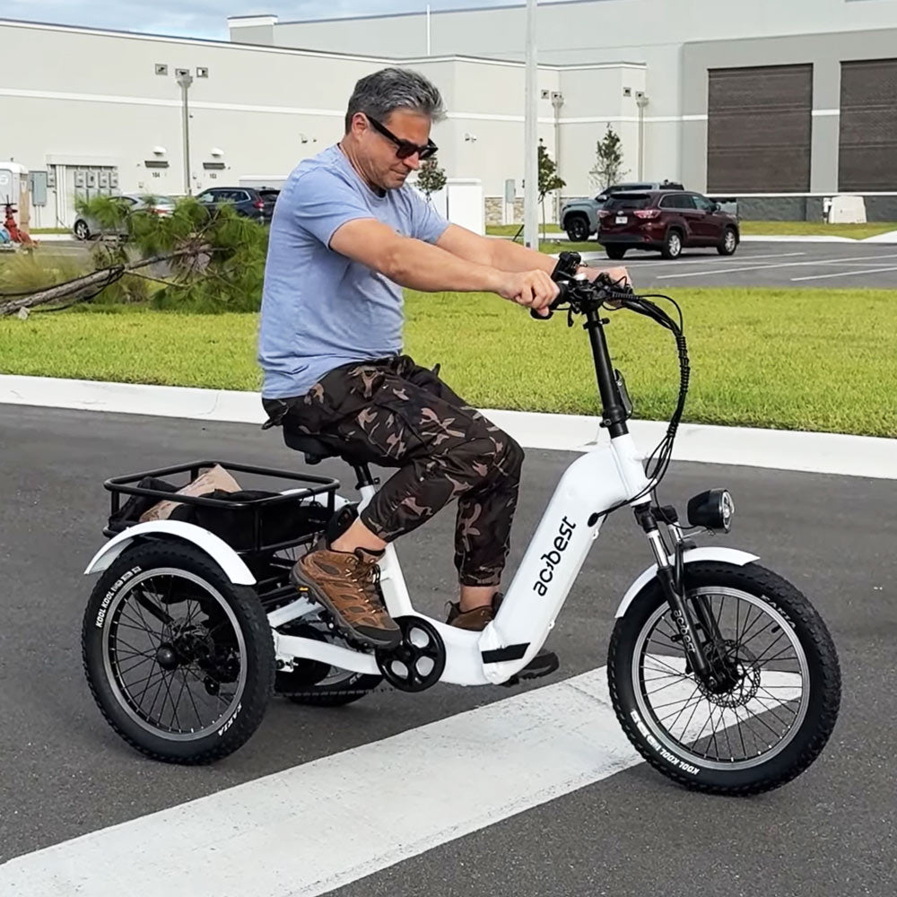 Triker Folding 3 Wheels Electric Bike