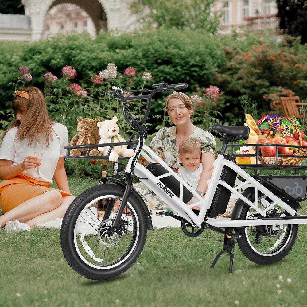 Electric Cargo Long-Range eBike