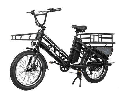 Electric Cargo Long-Range eBike