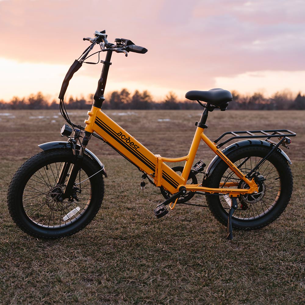 Speedy-ST Folding Electric Bike for Adults