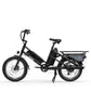 Electric Cargo Bike