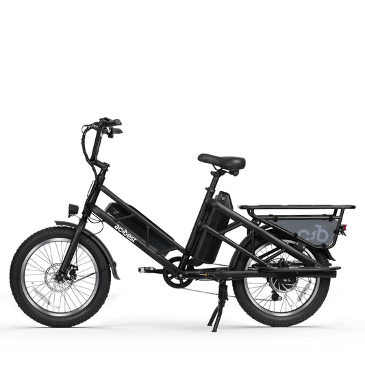 Electric Cargo Bike