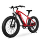 Ranger All-Terrain Mountain Ebike