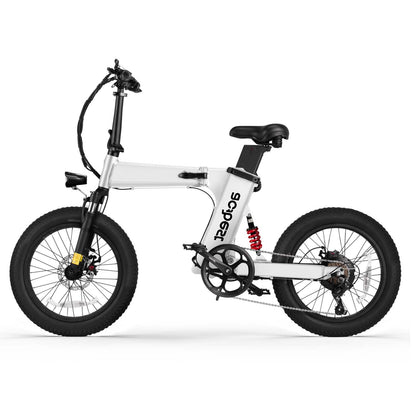 ZCool Full Suspension Fat Tire Electric Bike