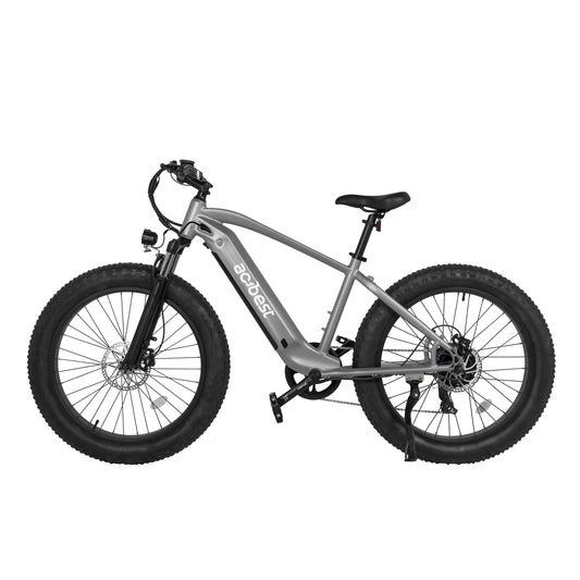 Ranger All-Terrain Mountain Ebike