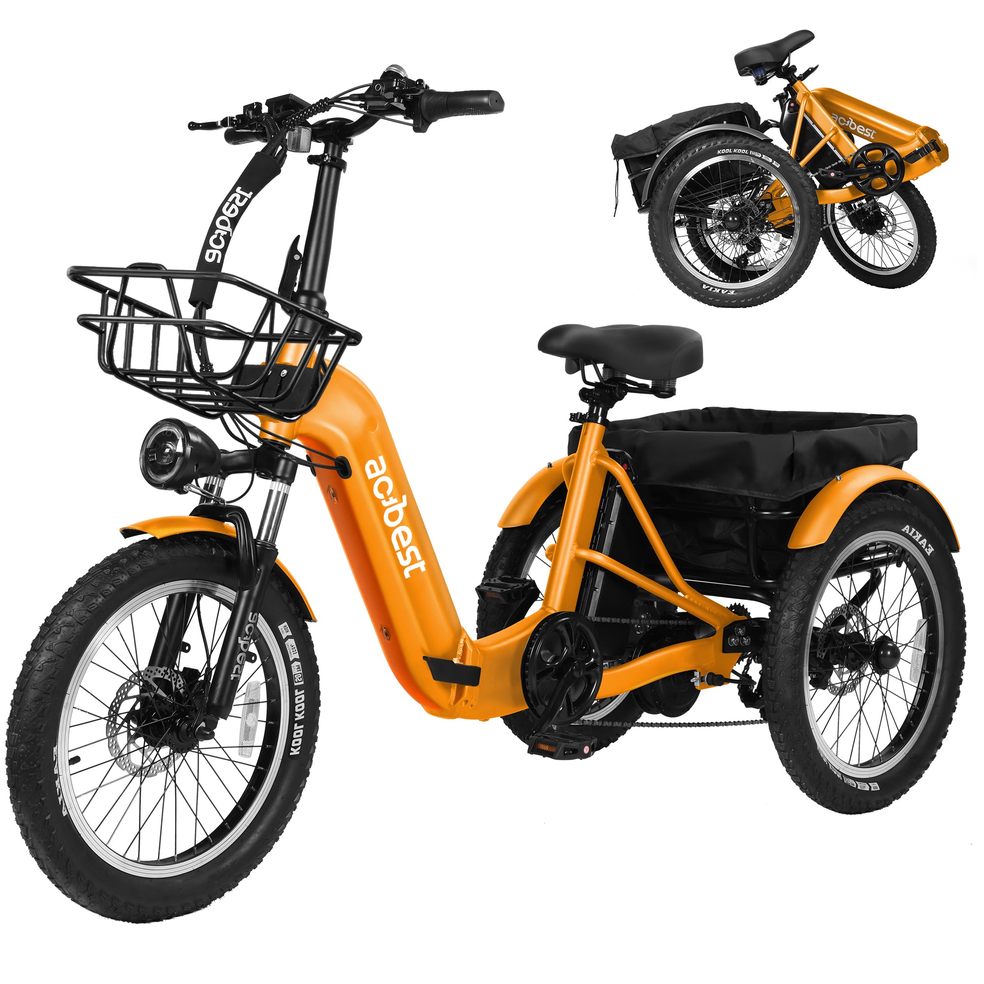 Triker Folding 3 Wheels Electric Bike