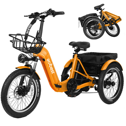 Triker Folding 3 Wheels Electric Bike