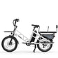 Electric Cargo Bike