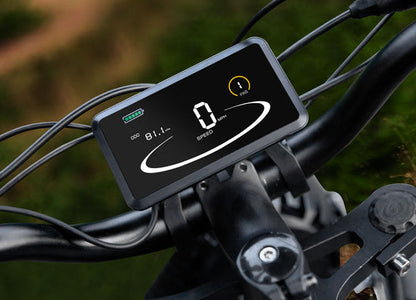 display für e-bikes LCD Display for Electric Bikes