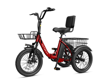 Triker Folding 3 Wheels Electric Bike