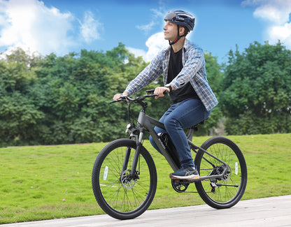 Race Electric Mountain Bike