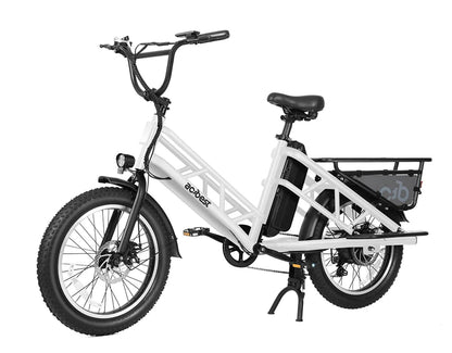 Electric Cargo Long-Range eBike