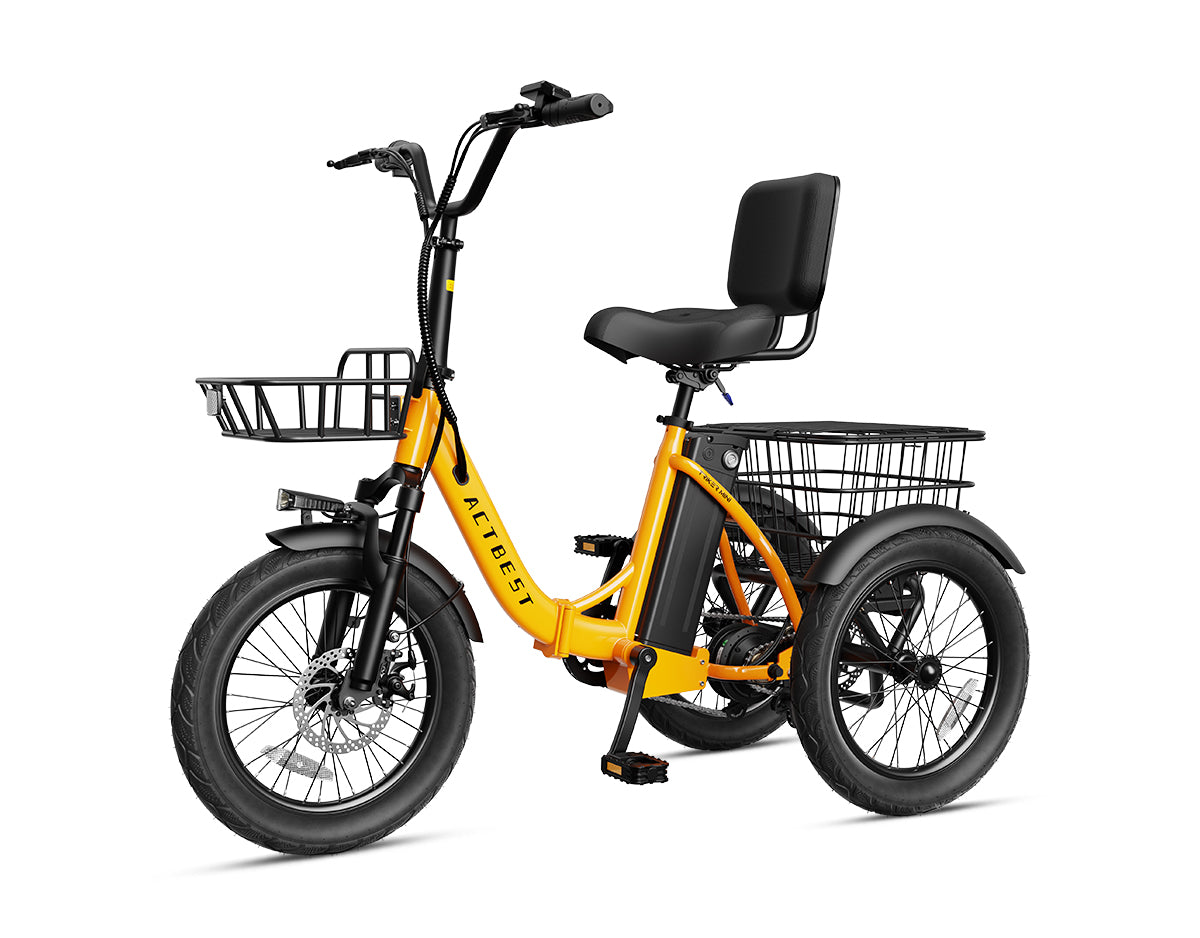 Triker Folding 3 Wheels Electric Bike