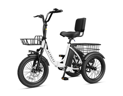 Triker Folding 3 Wheels Electric Bike