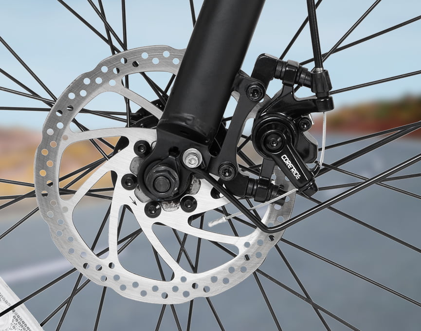 Disc Brake