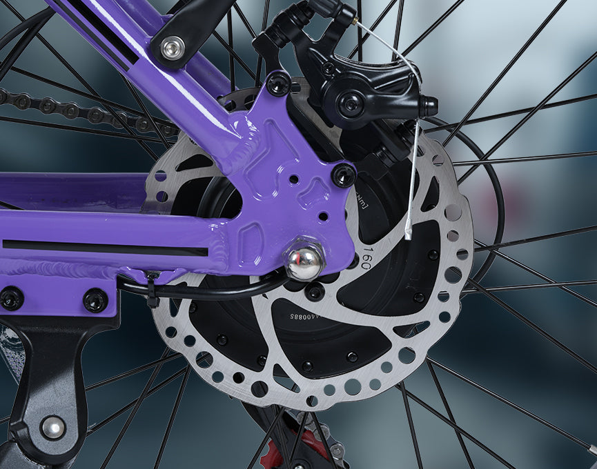 Disc Brake System
