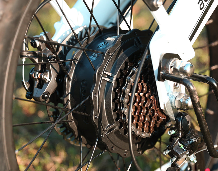 Powerful 1200W(peak) Brushless Motor