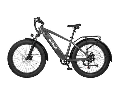Ranger All-Terrain Mountain Ebike