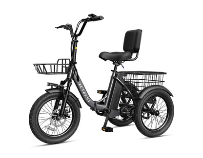 Triker Folding 3 Wheels Electric Bike