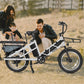 Electric Cargo Long-Range eBike