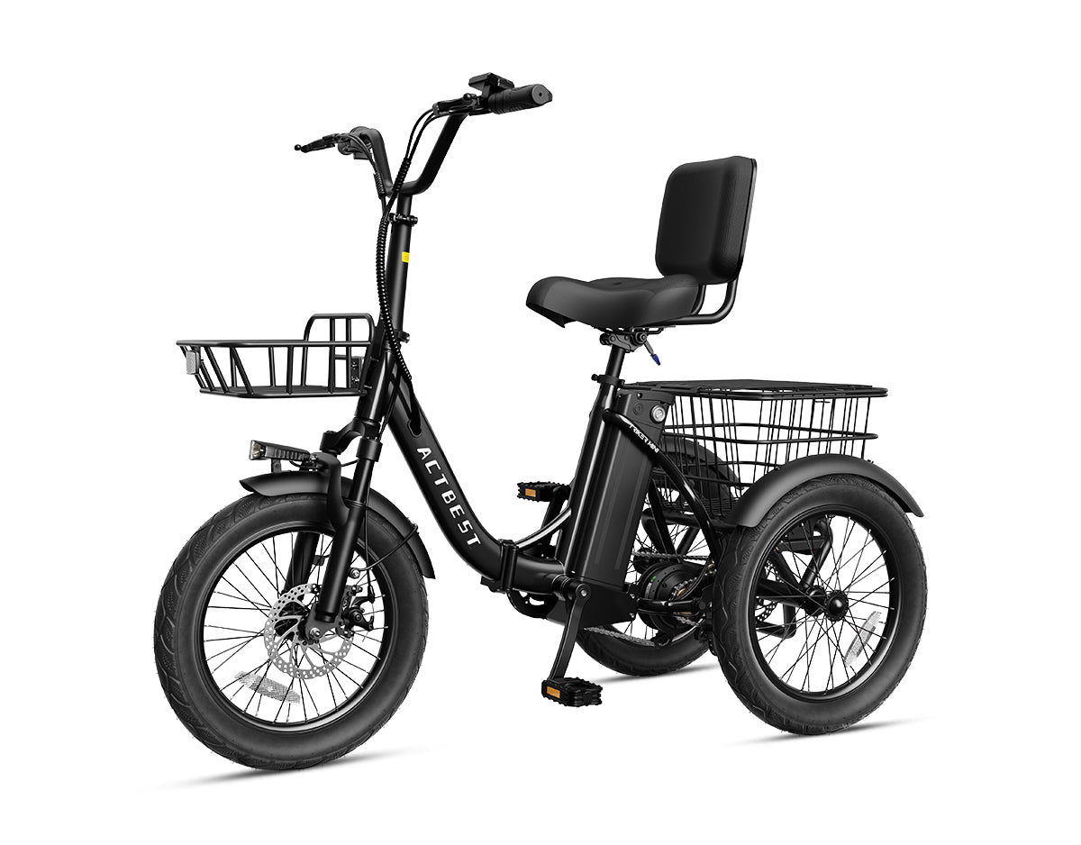 Triker Folding 3 Wheels Electric Bike
